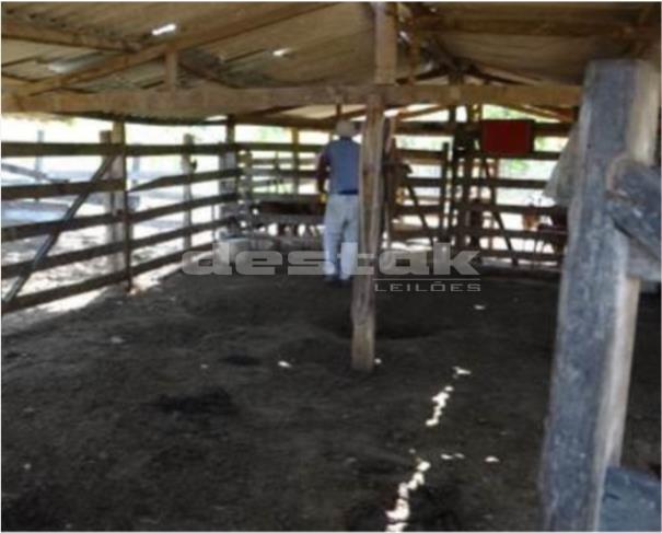 Foto de Fazenda em Bom Despacho/MG