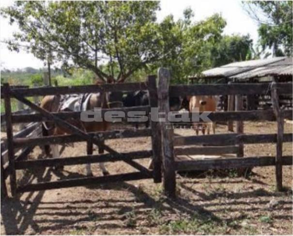 Foto de Fazenda em Bom Despacho/MG