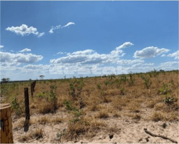 Foto de Fazenda Batovi em Paranatinga/MT