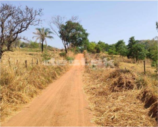 Foto de Fazenda em Goiânia/GO