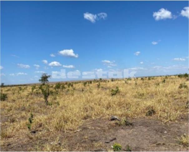 Foto de Fazenda Batovi em Paranatinga/MT