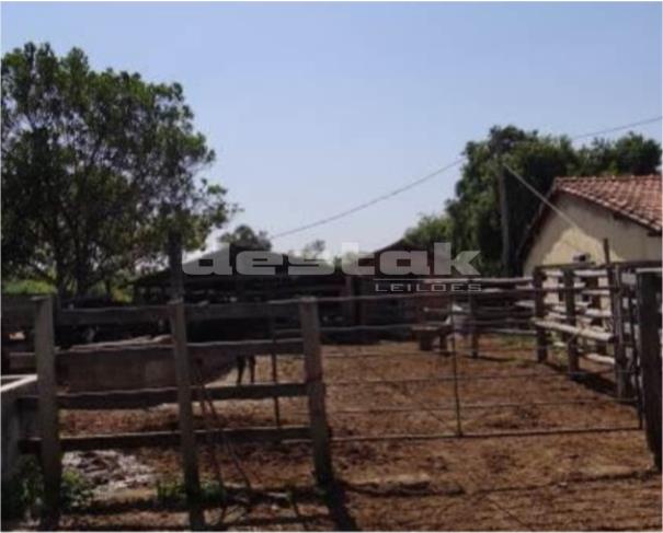 Foto de Fazenda em Bom Despacho/MG