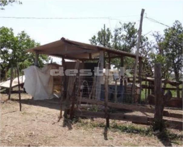 Foto de Fazenda em Bom Despacho/MG