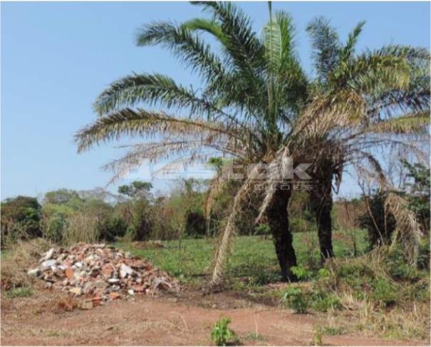 Foto de Fazenda em Goiânia/GO