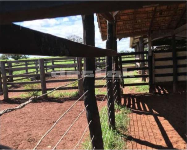 Foto de Fazenda em Jussara/GO