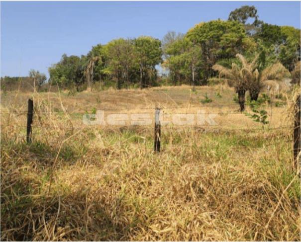 Foto de Fazenda em Goiânia/GO